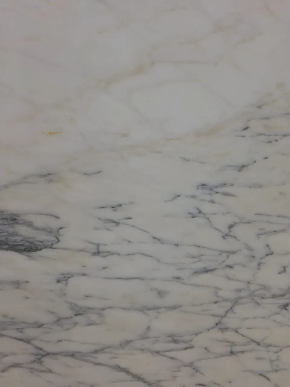 Calacatta statuario