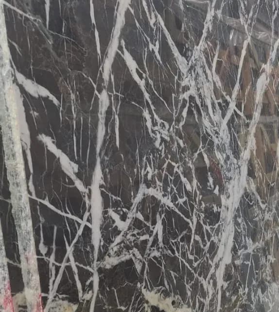 Column 1 image